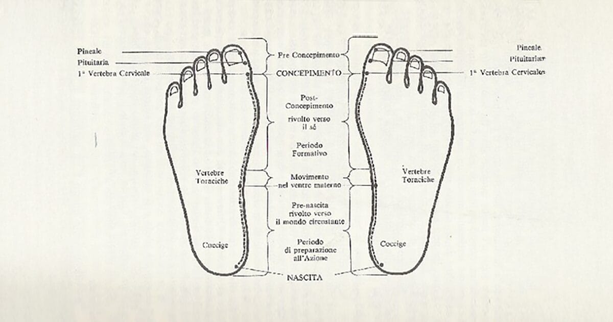 Tecnica Metamorfica